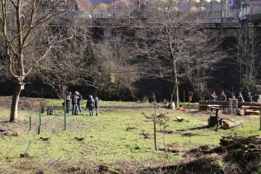 bereits gerodete Fläche im Schlangenbrunnen