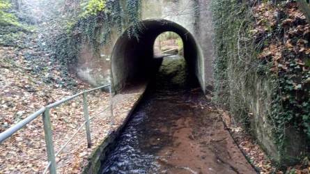 Tunnel im Gebiet "Schlangenbrunnen"
