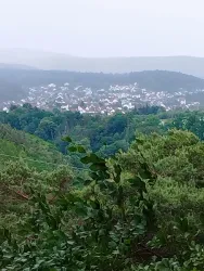 Eine bewaldete Landschaft mit Blick auf ein kleines Dorf. Die Umgebung ist grün und bewachsen, während der Himmel bewölkt ist.