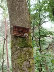 Ein Schild mit der Aufschrift "Steintaler Keller" hängt an einem Baum. Im Hintergrund sind grüne Blätter und Bäume zu sehen.