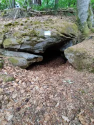 Ein geheimnisvoller Höhlen Eingang in einem Wald. Umgeben von Moos und Laub, lädt er zur Erkundung ein.