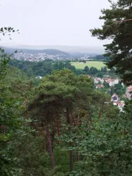 Eine ruhige Landschaft mit Bäumen im Vordergrund und einer kleinen Stadt im Hintergrund. Der Himmel ist bewölkt und die Umgebung wirkt grün und einladend.