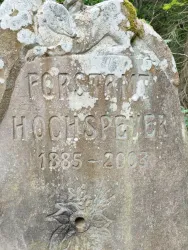 Ein alter Stein mit der Aufschrift "Forstamt Hochspeyer" und den Jahren 1885-2003. Der Stein zeigt Verwitterungserscheinungen und ist von natürlichen Elementen umgeben.