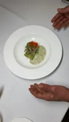 Ein kunstvoll angerichteter Teller mit einer kleinen Portion aus verschiedenen Zutaten. Die Hände zeigen auf die Speise, die farbenfrohe Akzente hat.