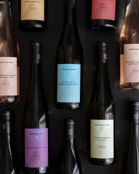 Eine Auswahl verschiedener Weinflaschen, die ordentlich angeordnet sind. Die Flaschen zeigen verschiedene Etiketten und Farben, darunter Rosé, Weiß und Rotwein.