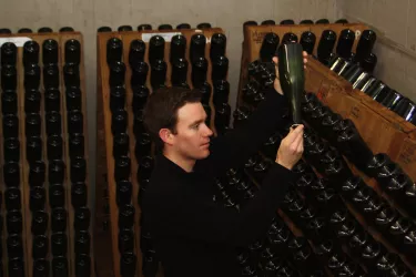 Weinkeller (© Weingut Bourdy)