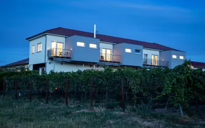 Ein modernes Haus am Abend, umgeben von Weinreben. Die Fenster strahlen warmes Licht in die Dunkelheit.