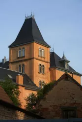 Schloss Edesheim Foto 01Lindenkreuz 2008 IMG_0537