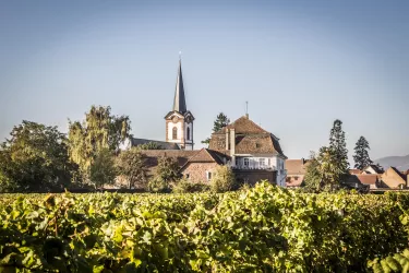 mit Weinbergen (© Verein SÜW Edenkoben, T. Kujat)