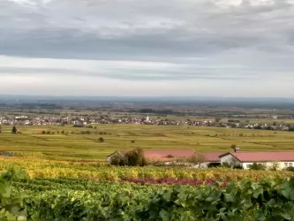 Edesheim im Herbst (© C. Anselmann)