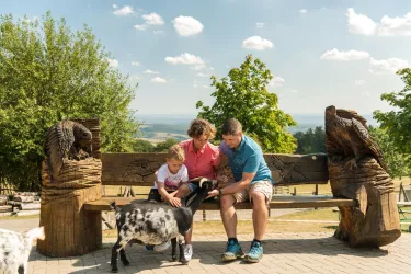 Spaß für Groß und Klein im Wildpark Potzberg