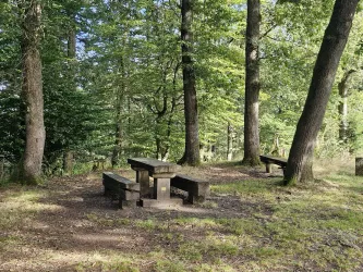 Wohnmobilstellplatz Potzberg