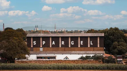 Spargel auf dem Martinshof (© Martinshof, Tim Ballreich)