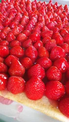 Ein frisch zubereiteter Kuchen mit vielen roten Erdbeeren. Die Erdbeeren sind glänzend und gleichmäßig auf dem Kuchen angeordnet.