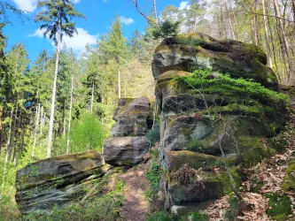 Eine malerische Felsenlandschaft umgeben von Wäldern. Ein schmaler Pfad führt durch die Natur mit reichlich grüner Vegetation.