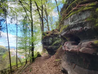 Ein malerischer Pfad zwischen hohen Bäumen und beeindruckenden Felsformationen. Die grüne Landschaft strahlt Ruhe und Naturverbundenheit aus.