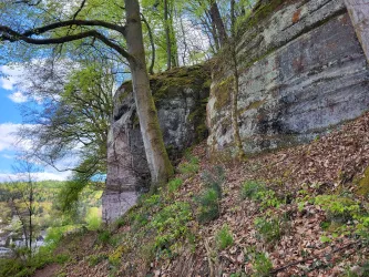 Eine steile Felswand umgeben von Bäumen und frischem Grün. Der klare Himmel und die lichte Landschaft schaffen eine ruhige Stimmung.
