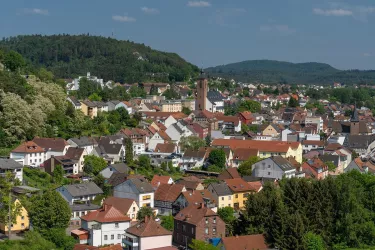 Blick auf Rodalben von der Alten Burg aus