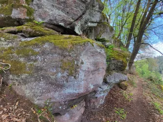 Eine große, moosbedeckte Felswand neben einem Waldweg. Die Umgebung ist grün und sonnig.