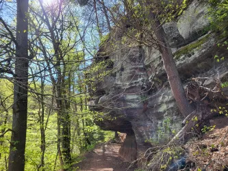 Ein malerischer Waldweg mit großen Felsen und viel grünem Laub. Die Sonne scheint durch die Bäume und schafft eine ruhige Atmosphäre.