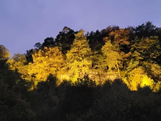 Die "Alte Burg" bei Nacht