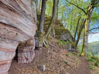 Ein malerischer Waldweg mit schroffen Felsen und grünem Laub. Die Bäume und die natürliche Umgebung verleihen der Szene eine friedliche Atmosphäre.