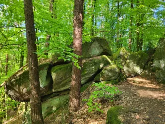 Eine beeindruckende Felsformation im Wald, umgeben von üppigem, grünem Laub. Der Weg führt durch die Natur und lädt zum Erkunden ein.