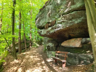 Ein malerischer Waldweg mit großen Felsen und üppigem grünem Laub. Eine Holzbank lädt zum Verweilen und Genießen der Natur ein.