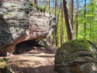 Ein malerischer Waldweg mit großen Felsen und grünen Bäumen. Das Licht strömt durch die Baumkronen und schafft eine ruhige Atmosphäre.