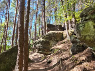 Ein Waldweg zwischen hohen Bäumen und beeindruckenden Felsen. Die Sonne scheint durch die Blätter und schafft eine ruhige Atmosphäre.