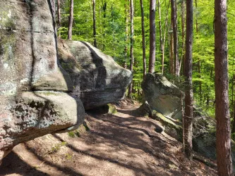 Ein schmaler Weg zwischen großen, moosbedeckten Felsen in einem dichten Wald. Das Licht fällt sanft durch die grünen Blätter der Bäume.