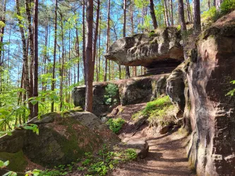 Ein malerischer Waldweg, umgeben von hohen Bäumen und großen Felsen. Das Sonnenlicht fällt durch das Blätterdach und schafft eine entspannte Atmosphäre.