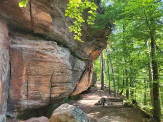Ein malerischer Waldweg mit einer großen Felswand. Umgeben von grünen Bäumen und einer ruhigen Atmosphäre.