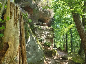 Ein großer Felsen zwischen Bäumen in einem grünen Wald. Der Boden ist mit Moos und Laub bedeckt und ein schmaler Weg führt durch die Natur.