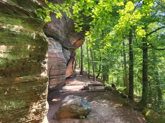 Ein malerischer Wanderweg umgeben von hohen Bäumen und beeindruckenden Felsen. Das Licht der Sonne fällt durch das Blätterdach und schafft eine angenehme Atmosphäre.