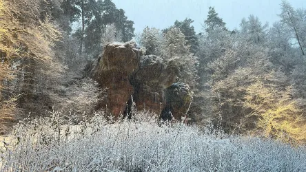 Eine verschneite Winterlandschaft mit Felsen und schneebedeckten Bäumen. Das sanfte Licht erhellt die Szene und schafft eine ruhige Atmosphäre.