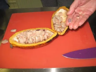 Rohprodukte aufgeschnitten