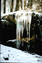Winter2