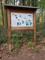 Infotafel Insekten