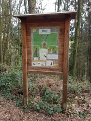Infotafel Feldhase