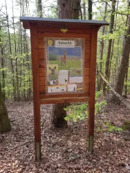 Infotafel Rehwild