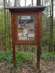 Infotafel Rotwild