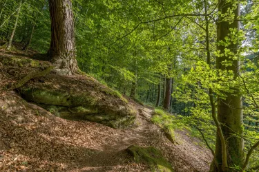 Rodalber Felsenwanderweg
