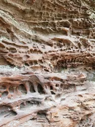 Strukturen des Buntsandstein
