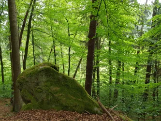 Felsenwanderweg nahe der Wüstlangenbachfelsen
