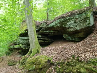 Felsenwanderweg nahe der Wüstlangenbachfelsen