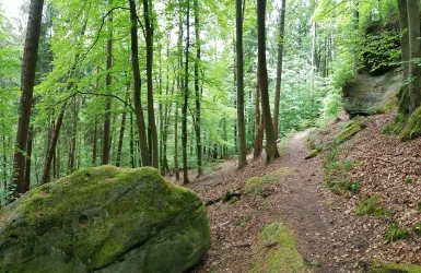 Felsenwanderweg bei den Wüstlangenbachfelsen