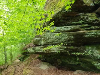 Felsenwanderweg bei den Wüstlangenbachfelsen