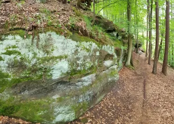Mächtige Wüstlangenbachfelsen