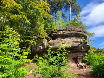 Schweinefelsen Schweinefelsen